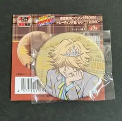 家庭教師ヒットマンリボーン REBORN 缶バッジ TRUNK ベルフェゴール