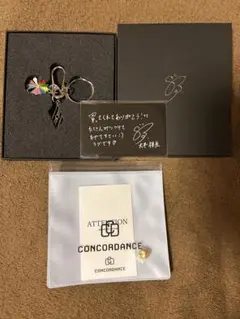 大平祥生 CONCORDANCE コンコアダンス