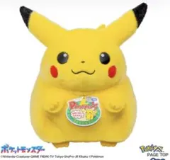 ポケモン30周年記念 おかえり!ピカチュウ 1/1