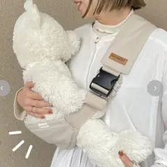 ダッコルト アモア バースデイ DAKKOLT ベージュ