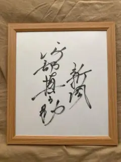 2026年最新】阿部慎之助色紙サインの人気アイテム - メルカリ