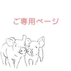 お洒落で華やかW紐セット　チュール　水引　金箔　W紐　卒業式　和装　結婚式