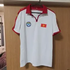 入手不可能！EURO2016公式品 Wales ポロシャツ 希少品！ - メルカリ