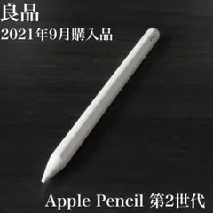 良品　正常動作品　Apple Pencil 第2世代　MU8F2J/A　r11