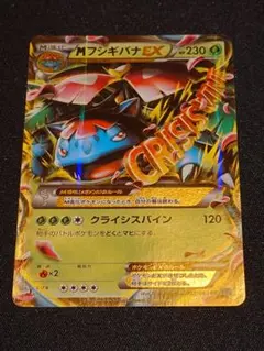 2026年最新】Mフシギバナexの人気アイテム - メルカリ