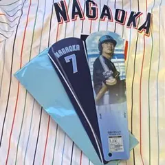 長岡秀樹選手 応燕スティック #7