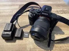 2026年最新】sony α7ii レンズキットの人気アイテム - メルカリ