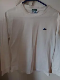SHIPS別注　ラコステ　LACOSTE 　長袖カットソー サイズ2　青ワニ