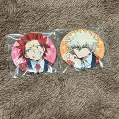 ヒロアカ 缶バッジ