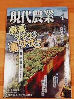 現代農業 2026年4月号 野菜づくりの裏ワザ