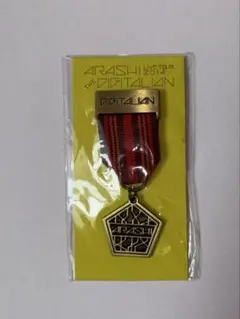 嵐　DIGITALIAN 会場限定メダルブローチ　東京