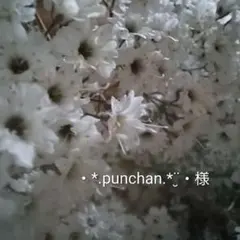 Item thumbnail for item 4598897c-61a9-4e44-8603-f2923b9792c5