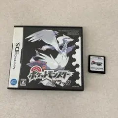 起動確認済み DSソフト 2本セット ポケットモンスター ブラック ホワイト