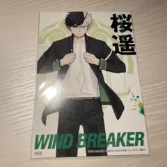 WINDBREAKER ウィンブレ 桜遥 TSUTAYA ポストカード 非売品