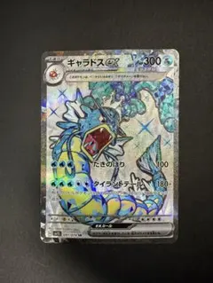 2026年最新】ギャラドスex srの人気アイテム - メルカリ