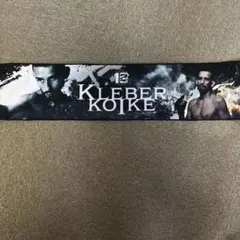 Item thumbnail for item 3ca77b35-719d-4187-96cc-3ca4cae63161