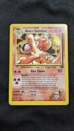 2025年最新】カツラのリザードの人気アイテム - メルカリ