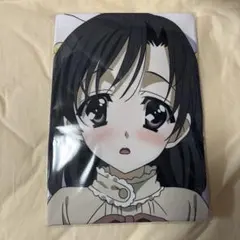 AnimeJapan 2026 桂心 抱き枕カバー School Days - メルカリ