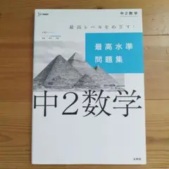 最高水準問題集 中2数学