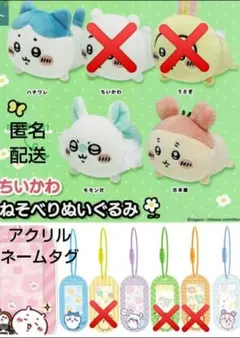 ガチャガチャ新品ねそべりぬいぐるみ＆アクリルネームタグハチワレモモンガカニちゃん