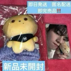 THEBOYZ ソウルコン ミニドール ぬいぐるみ　ヒョンジェ　トレカ THEBOYZ ソウルコン ミニドール ぬいぐるみ ヒョンジェ トレカ