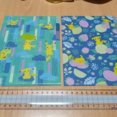 ピカチュウ クリアファイル 2枚セット