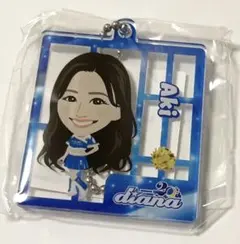 diana Aki アクリルサイン色紙　缶バッジ　アクキー　セット　ベイスターズ diana Aki 缶バッジ アクキー アクスタ セット ベイスターズ