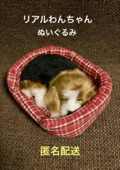 2026年最新】スヤスヤおねむりわんちゃんの人気アイテム - メルカリ