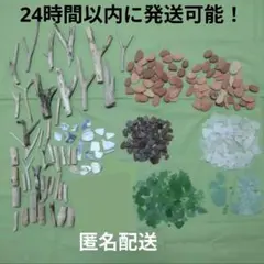 Item thumbnail for item 104bc8e5-de18-4a4d-a79a-e758cf0c59e2