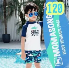 キッズ水着　男の子　ラッシュガード　半袖　サメ柄　プール　海　水遊び　魚　120
