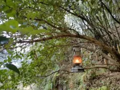 あした様専用　Bタイプ