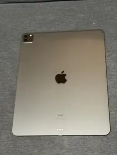 iPad Pro Wi-Fi 12.9インチ 512GB 第五世代