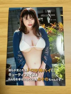 水原みその写真集 WXY 初版