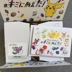 ポケットモンスター ポケモン 30周年 キミにあえた！ステッカー