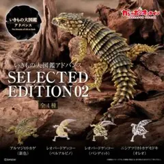いきもの大図鑑アドバンス SELECTED EDITION 02 コンプセット