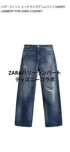 2026年最新】ハリーランバートZARAの人気アイテム - メルカリ