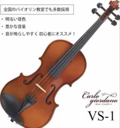【美品】カルロジョルダーノ VS-1 1/10 分数バイオリン 2022年製のサムネイル