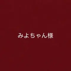 みよちゃん様 リクエスト 2点 まとめ商品