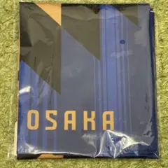 Item thumbnail for item d9ddf801-e93f-435c-9a6b-d2e22c3ae46c