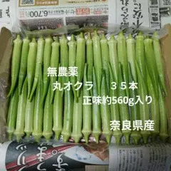 採れたて✨ 無農薬【丸オクラ】35本 正味約560g ネコポス 奈良県産のサムネイル