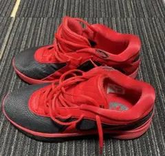 ナイキ　ズームフリーク6　27.5cm