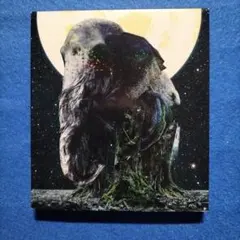 MISIA　アセンション