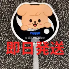 2025年最新】スンミン うちわ ポップアップの人気アイテム - メルカリ