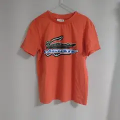 LACOSTE　キッズ　Tシャツのサムネイル