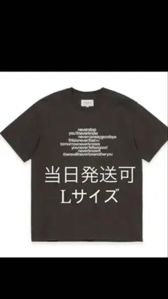 UPD'T UNPRECEDENTED Tシャツ グレー細美武士 - メルカリ