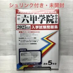 ★匿名配送★2025年度 六甲学院中学校 入学試験問題集
