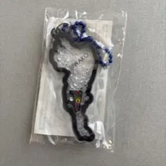 イッシーぬいぐるみA。鹿児島県池田湖のお土産品。【ほぼ新品に近い