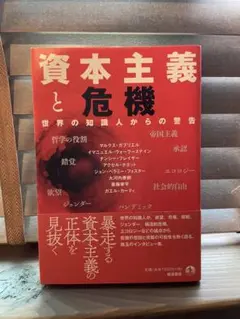 資本主義と危機 世界の知識人からの警告