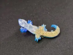 Item thumbnail for item 4889fdc7-d19c-43bb-a3bc-d7c1b67e5a9b