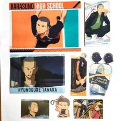 ハイキュー!!　田中龍之介　いろいろまとめ売り　一番くじ　アニメイト特典　他